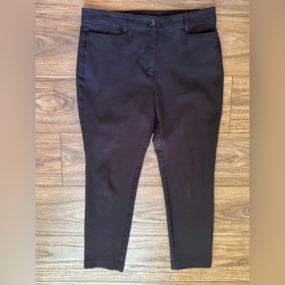 Loft Skinny Ankle Pants